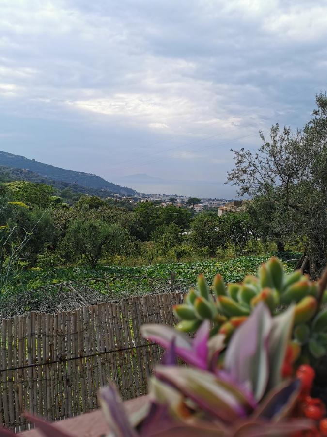 פיאנו די סורנטו L'Angolo Di Campagna מראה חיצוני תמונה