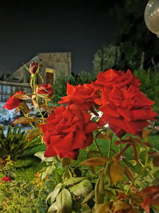 פיאנו די סורנטו L'Angolo Di Campagna מראה חיצוני תמונה
